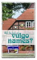 What's the deal with vulgo names? [www.lovablehistory.com]
